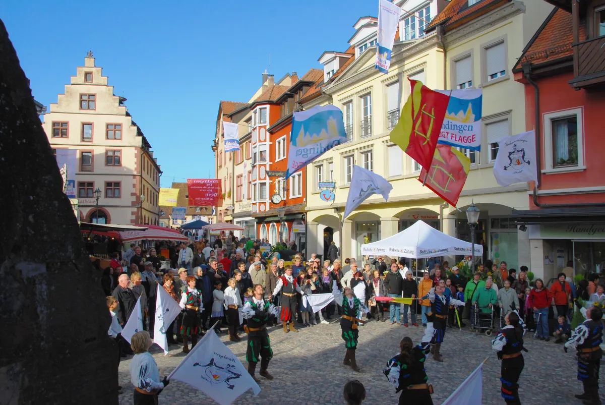 EZF_2012