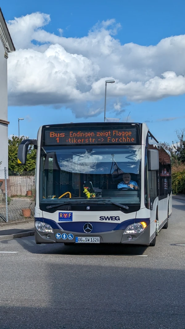 ezf-bus