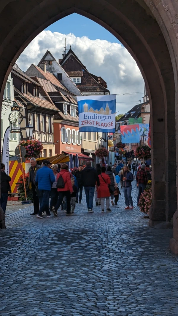 ezf-torblick